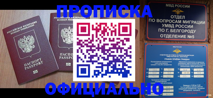 найти адрес прописки в Шадринске